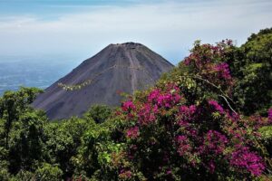 How to choose the perfect car for your trip in Santa Ana?